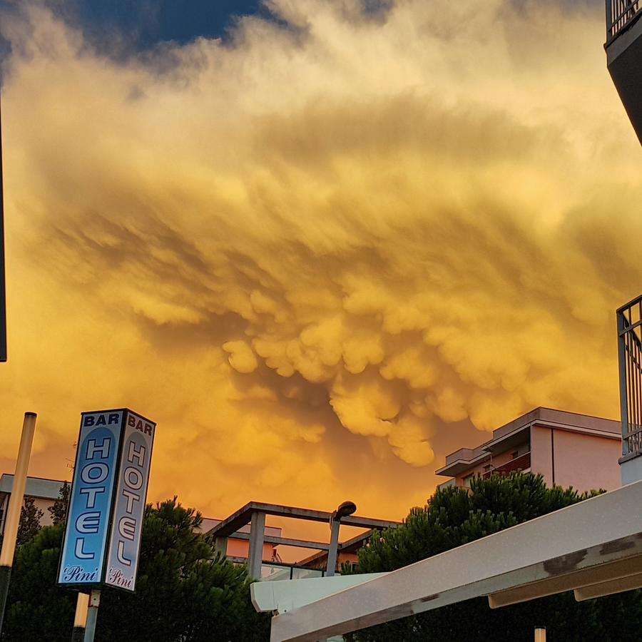 Hotel I Pini Lido di Pomposa Eksteriør bilde